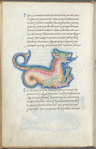 Miniature of Pistrix, also called Cetus, with text and 1-line blue initials