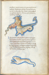 Miniature of Eridanus, and of Rabbit, wth text and 1-line blue initial