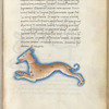 Miniature of a hound, with text and 1-line blue initial