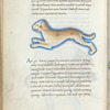 Miniature of a dog, with text and 1-line blue initials