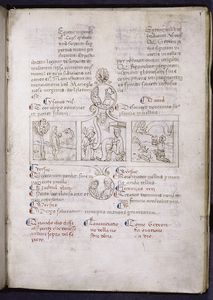 Biblia pauperum