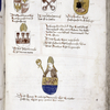 Coats of arms with commentary