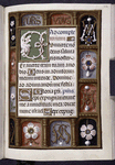 Border with motto "Fors vous" and initials WM and M of first owner; rubrics in blue