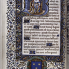 Historiated initial of King David playing his harp; unidentifed coat of arms of first owner in lower margin.