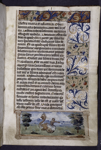 Officium Beatae Mariae Virginis