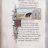 The peacock and the jackdaw [cont.]; The wild boar and the fox.