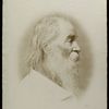 Portrait of Walt Whitman, 1881?
