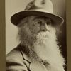 Portrait of Walt Whitman, 1878