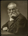 Portrait of Walt Whitman, around 1870