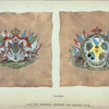 Netherlands, 1848-55