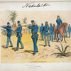 Netherlands, 1890-96