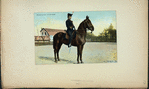 Netherlands, 1900-09 [part 2]