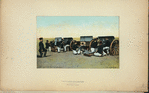 Netherlands, 1900-09 [part 2]