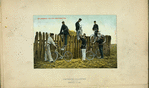 Netherlands, 1900-09 [part 3]