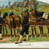 Netherlands, 1900-09 [part 3]