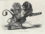 Lions, after Rubens.