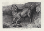 Bob, a favourite terrier, the property of W.E. Gosling Esqr.
