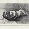 Fight between "Jacko Maccacco," a celebrated monkey, and Mr. Thos. Cribb's well known bitch "Puss."