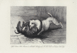 Fight between "Jacko Maccacco," a celebrated monkey, and Mr. Thos. Cribb's well known bitch "Puss."