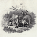 Elephants returning from the hunt.