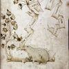 A frog, seated on a branch, holding the scroll in his mouth that gives the title of the work