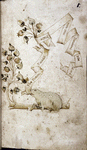 A frog, seated on a branch, holding the scroll in his mouth that gives the title of the work