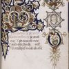 Opening of text 2, with white vine stem decoration and the bust of a woman