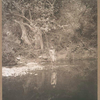 The pool , Apache.