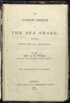 The common objects of the sea shore...
