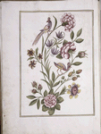 Full-page watercolor of birds and flowers, simple border design