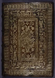 Carta ejecutoria