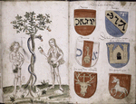 Drawing of Adam and Eve and coats of arms