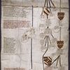 Roll Chronicle of the Kings of England and the Botelers of Sudeley Castle