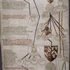 Roll Chronicle of the Kings of England and the Botelers of Sudeley Castle