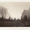 Up the Valley, Yosemite.