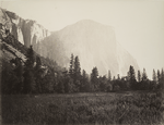 El Capitan - 3600 ft. Yosemite.