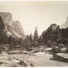 Up the Valley, Yosemite.