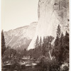 El Capitain - 3600 ft., Yosemite.