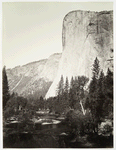 El Capitain - 3600 ft., Yosemite.