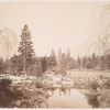 View Down the Valley, Yosemite.
