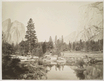 View Down the Valley, Yosemite.