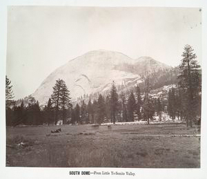 Yosemite views