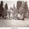 The Original Big Tree.