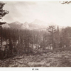 Mt. King.