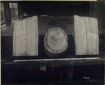 Contract No. 4. View of old timber pile taken from North land shaft caisson, N.J. 1/10/23, 12:15 p.m.