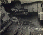 Cintract No. 3.  Piles encountered in breasting down for ring #144, South tunnel, New York. 4/25/23, 2:00 p.m.