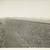Ashokan Reservoir. View showing down-stream side of Glenford dike on top of which is located the relocated Ulster and Delaware Railroad tracks. Contract 60. April 28, 1914.