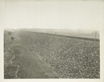 Ashokan Reservoir. View showing down-stream side of Glenford dike on top of which is located the relocated Ulster and Delaware Railroad tracks. Contract 60. April 28, 1914.