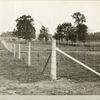 Fences. Typical fence along City's right-of-way. ... Contract 101. September 8, 1913.