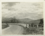 Fences. Fence along Ashokan highways. ... Contract 143. November 2, 1916.